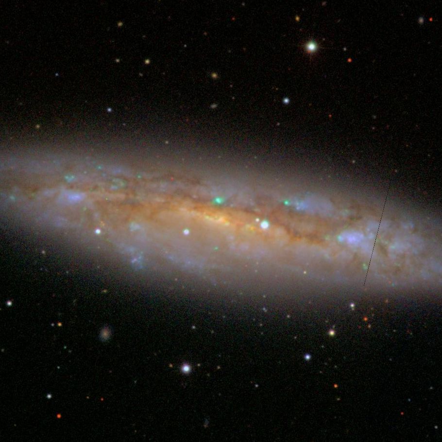 NGC3556